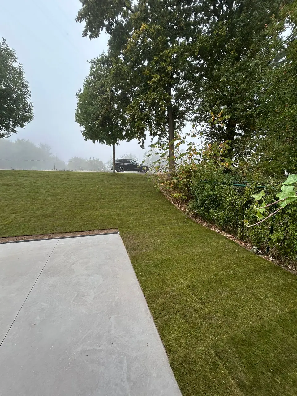 Grasmatten langs het pad
